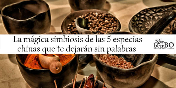 The magical symbiosis of the 5 Chinese spices that will leave you without words.